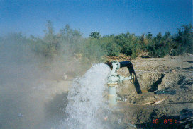 photo-gallery006004.jpg